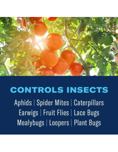 BioAdvanced Spray 3-en-1 para Frutas y Cítricos 0.95 L 2