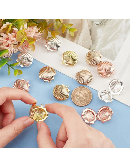12 Encantos de Locket de Concha PH PandaHall - 3 Colores
