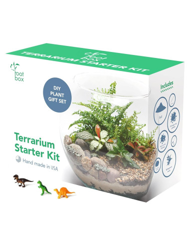Kit de Terrario Grande Root Box - Suministros para Plantas