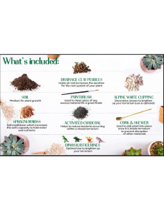 Kit de Terrario Grande Root Box - Suministros para Plantas 2