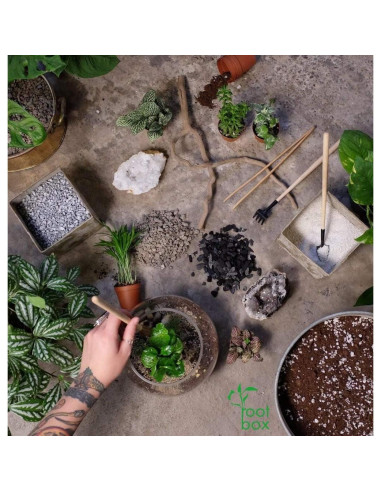 Kit de Terrario Grande Root Box - Suministros para Plantas