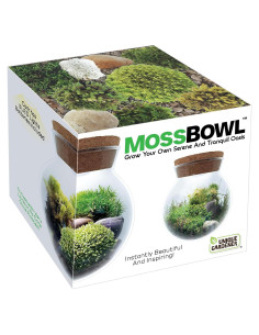 Kit de Terrario de Musgo Unique Gardener con Luz LED 10 cm