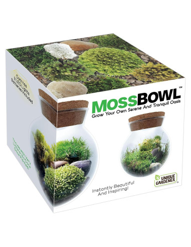 Kit de Terrario de Musgo Unique Gardener con Luz LED 10 cm
