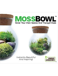 Kit de Terrario de Musgo Unique Gardener con Luz LED 10 cm 2