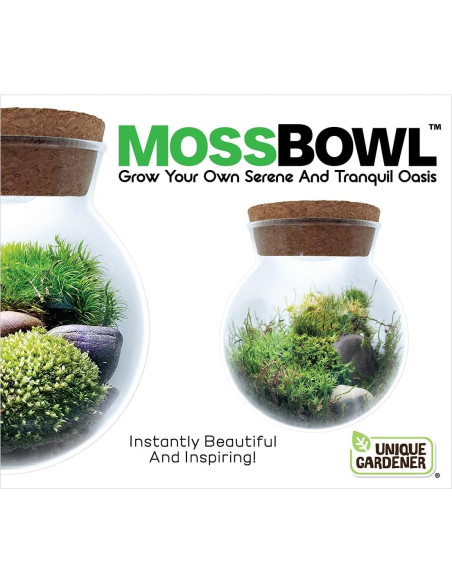 Kit de Terrario de Musgo Unique Gardener con Luz LED 10 cm