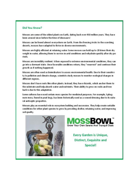 Kit de Terrario de Musgo Unique Gardener con Luz LED 10 cm