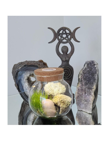 Kit de Terrario de Musgo Unique Gardener con Luz LED 10 cm