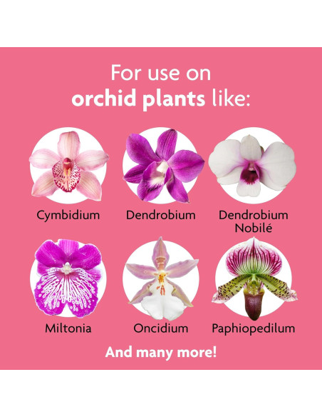 Alimentos en Espigas para Orquídeas Miracle-Gro 10 Unidades