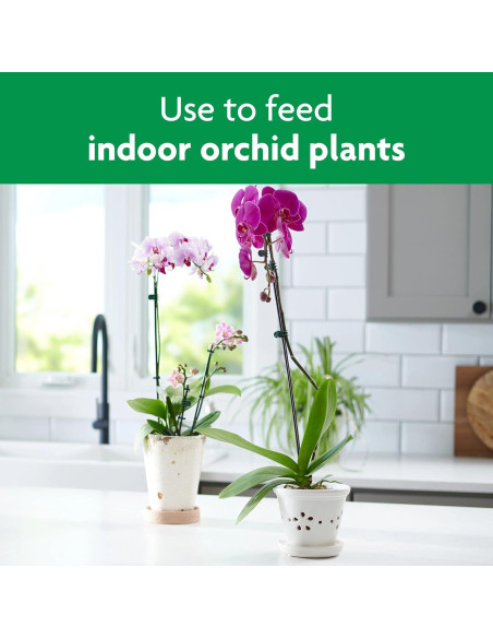 Alimentos en Espigas para Orquídeas Miracle-Gro 10 Unidades