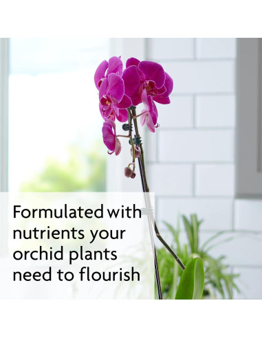 Alimentos en Espigas para Orquídeas Miracle-Gro 10 Unidades