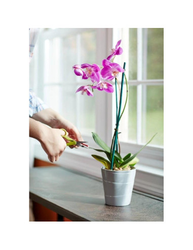 Alimentos en Espigas para Orquídeas Miracle-Gro 10 Unidades