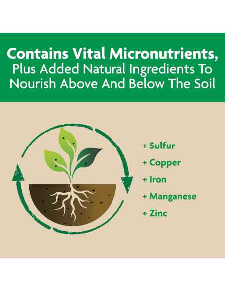 Alimento para Plantas Miracle-Gro 0.45 kg - Tomate, Frutas y Verduras