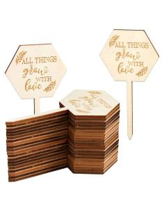 30 Etiquetas Suculentas de Madera AnyDesign Hexagonales