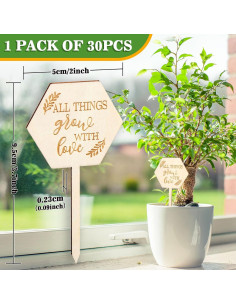 30 Etiquetas Suculentas de Madera AnyDesign Hexagonales 2