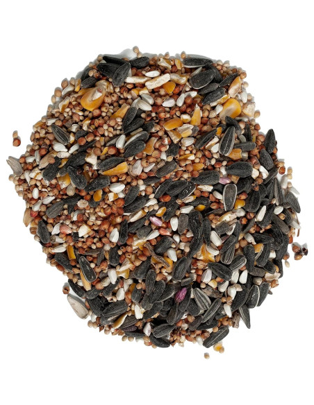 Mezcla de golosinas deluxe para aves Wagner 1.81 kg