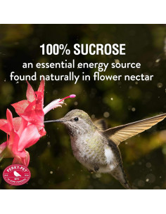 Néctar Líquido para Colibríes Perky Pet 32oz - Rinde 128oz 2