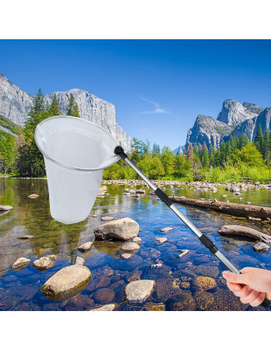 Red de Pesca de Insectos Coopay CP001, Mango Telescópico 90 cm