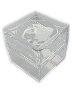 10 Cajas de Exhibición Actopus con Lupa 2X para Monedas 2
