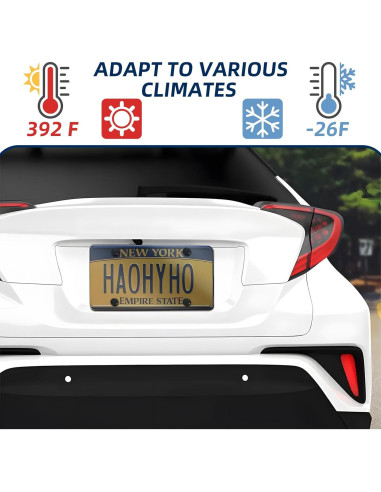 Cubierta de Placa de Licencia Negra SEARART Universal 2 Piezas