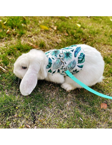 Arnés y Correa Ajustable WEWAYKGJ para Conejos Tamaño M