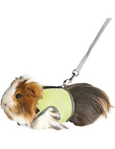 Arnés y Correa Ajustable MANON ROSA para Conejos y Mascotas Pequeñas - Verde S 2