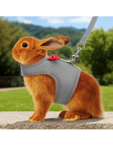 Arnés y Correa para Conejos Prasacco Malla Suave Gris M