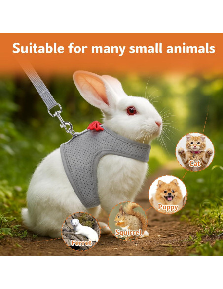 Arnés y Correa para Conejos Prasacco Malla Suave Gris M