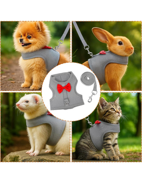 Arnés y Correa para Conejos Prasacco Malla Suave Gris M