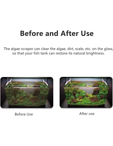 Rascador de Algas Lominie para Acuarios de Vidrio 65cm