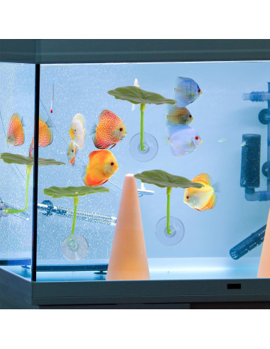 3 Hamacas de Hoja para Peces Betta Bruislard - Decoración Acuario