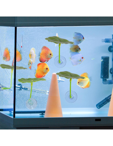 3 Hamacas de Hoja para Peces Betta Bruislard - Decoración Acuario