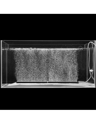 Piedra de Aire Acuario Carefree 30x4 cm para Agua Dulce/Salada