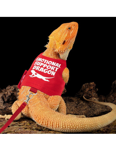 Arnés Ajustable para Dragón Barbudo TUKOAW con Correa 1.5m