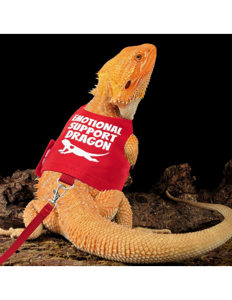 Arnés Ajustable para Dragón Barbudo TUKOAW con Correa 1.5m