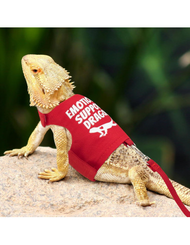 Arnés Ajustable para Dragón Barbudo TUKOAW con Correa 1.5m