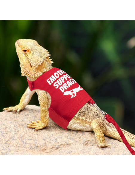 Arnés Ajustable para Dragón Barbudo TUKOAW con Correa 1.5m