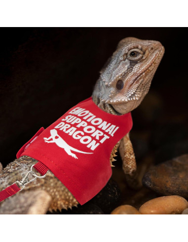 Arnés Ajustable para Dragón Barbudo TUKOAW con Correa 1.5m