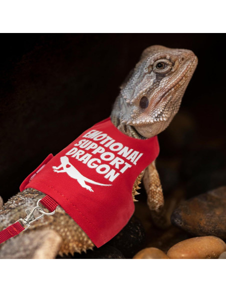 Arnés Ajustable para Dragón Barbudo TUKOAW con Correa 1.5m
