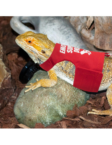 Arnés Ajustable para Dragón Barbudo TUKOAW con Correa 1.5m