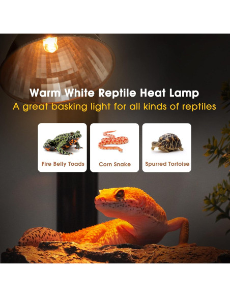 Bombillas de Calor Briignite G9 para Reptiles 50W Paquete de 2
