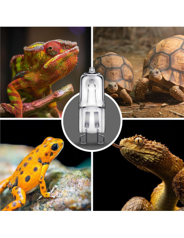 Bombillas de Calor Briignite G9 para Reptiles 50W Paquete de 2