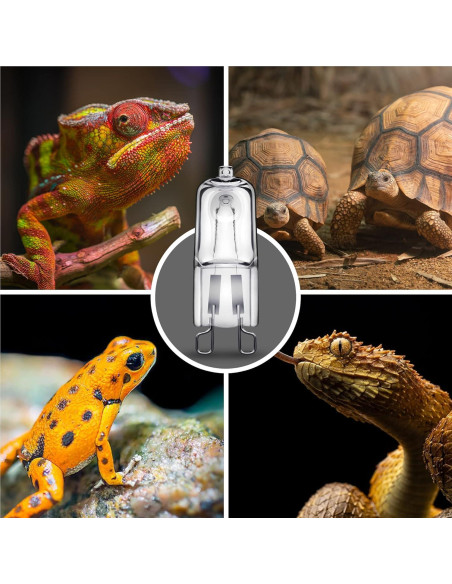 Bombillas de Calor Briignite G9 para Reptiles 50W Paquete de 2