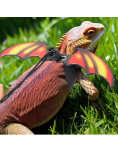 Arnés y Correa Ajustable para Dragón Barbudo HJZHII - 3 Tamaños 2