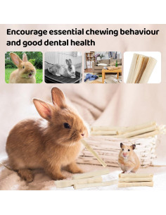 Palitos de Madera de Bambú Dulce Sukh 240g para Conejos 2