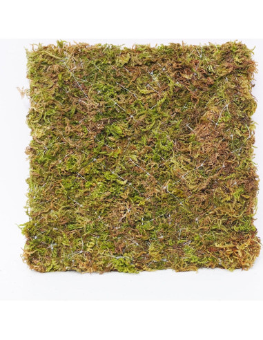 Pared de Escalada para Cangrejo Ermitaño Begeterday 15 cm Musgo