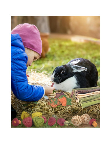 Juguetes para Masticar ERKOON 53 Piezas para Conejos y Hámsters