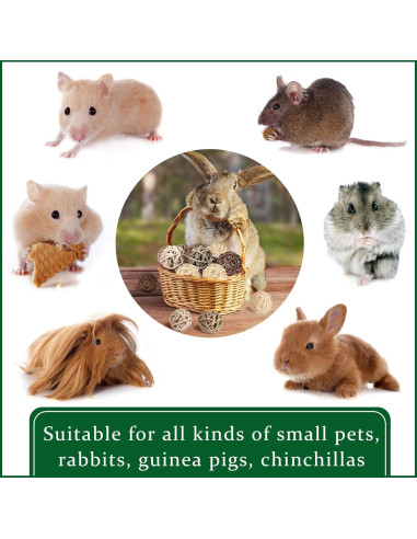 Bolas de Masticar para Conejos Skylety - 15 Piezas de Hierba