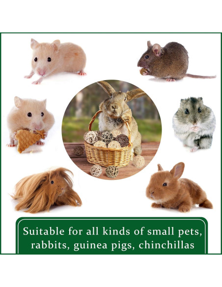 Bolas de Masticar para Conejos Skylety - 15 Piezas de Hierba