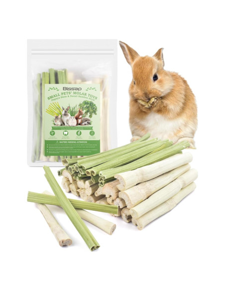 Bissap 40PCS Palitos Masticables para Conejos y Roedores