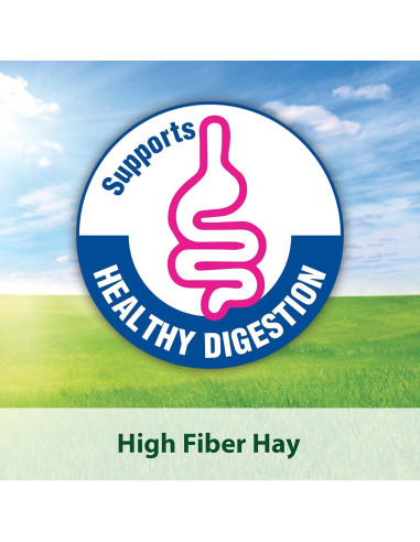 Cubos de Alfalfa Kaytee 425 g para Conejos y Cobayas